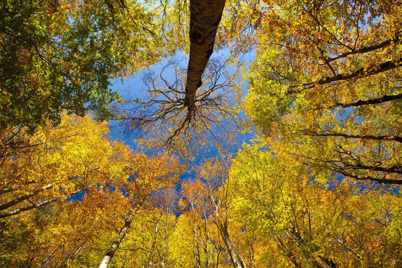 Actividades en el Pirineo